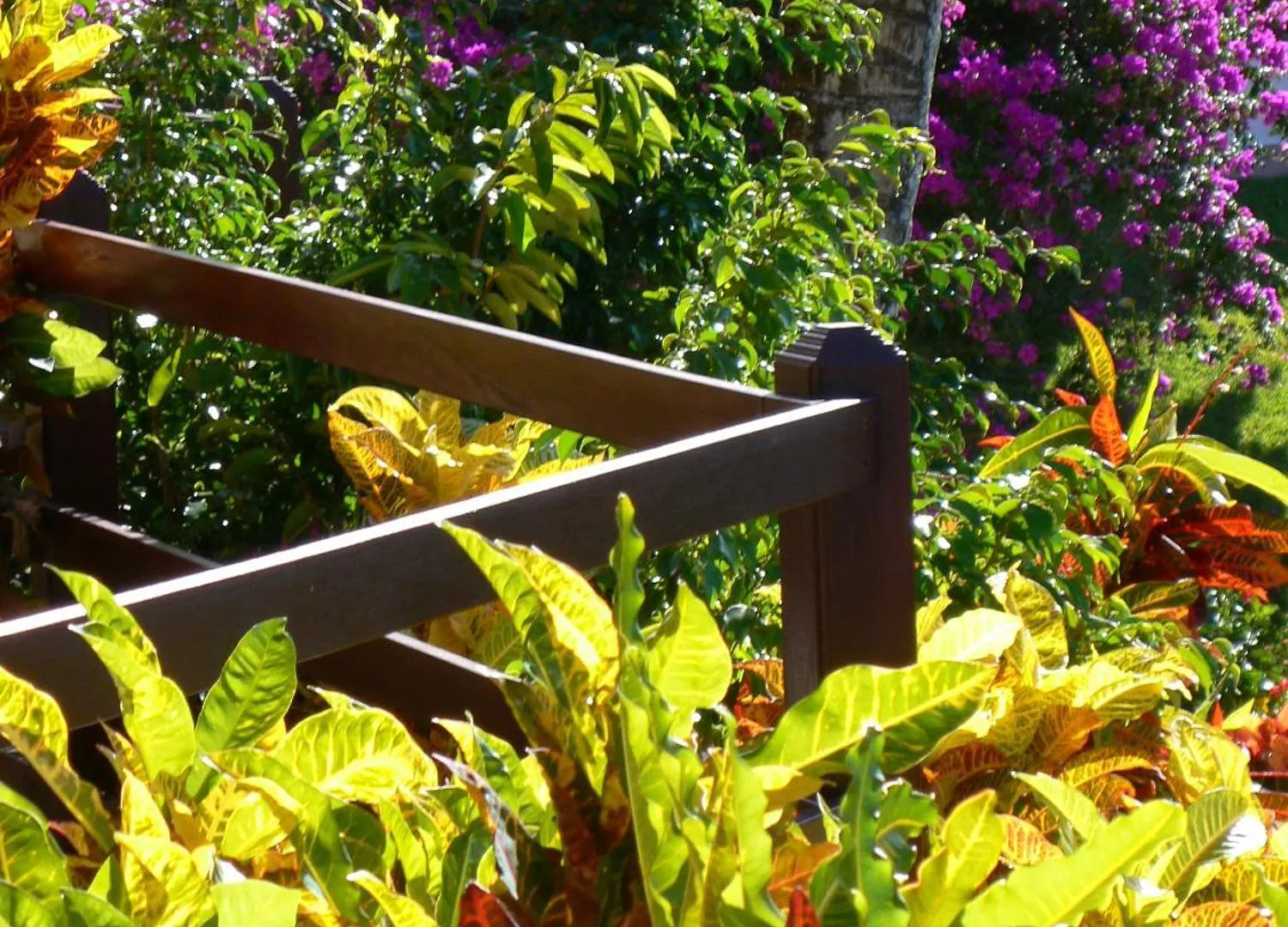 ***  Hotel - Residence Habitation Grande Anse Deshaies Guadeloupe