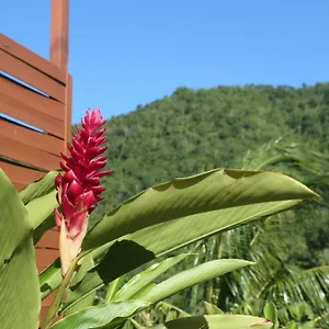 Bougain Fleuri Hébergement de vacances